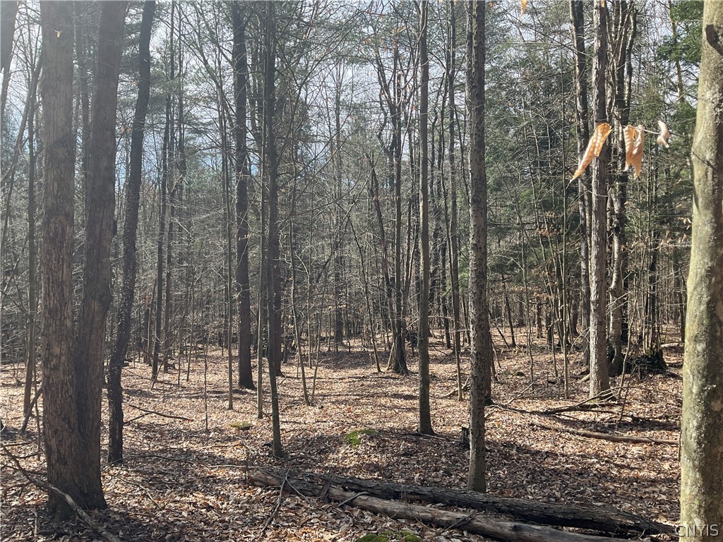 0 Junction Road Bainbridge, NY 13733 - Photo 2 of 16