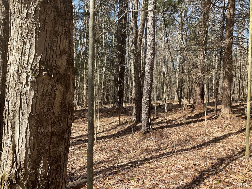 0 Junction Road Bainbridge, NY 13733 - Photo 3 of 16