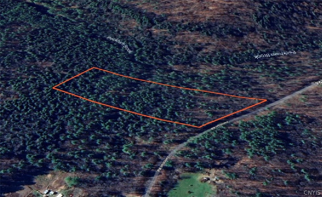 0 Junction Road Bainbridge, NY 13733 - Photo 4 of 16