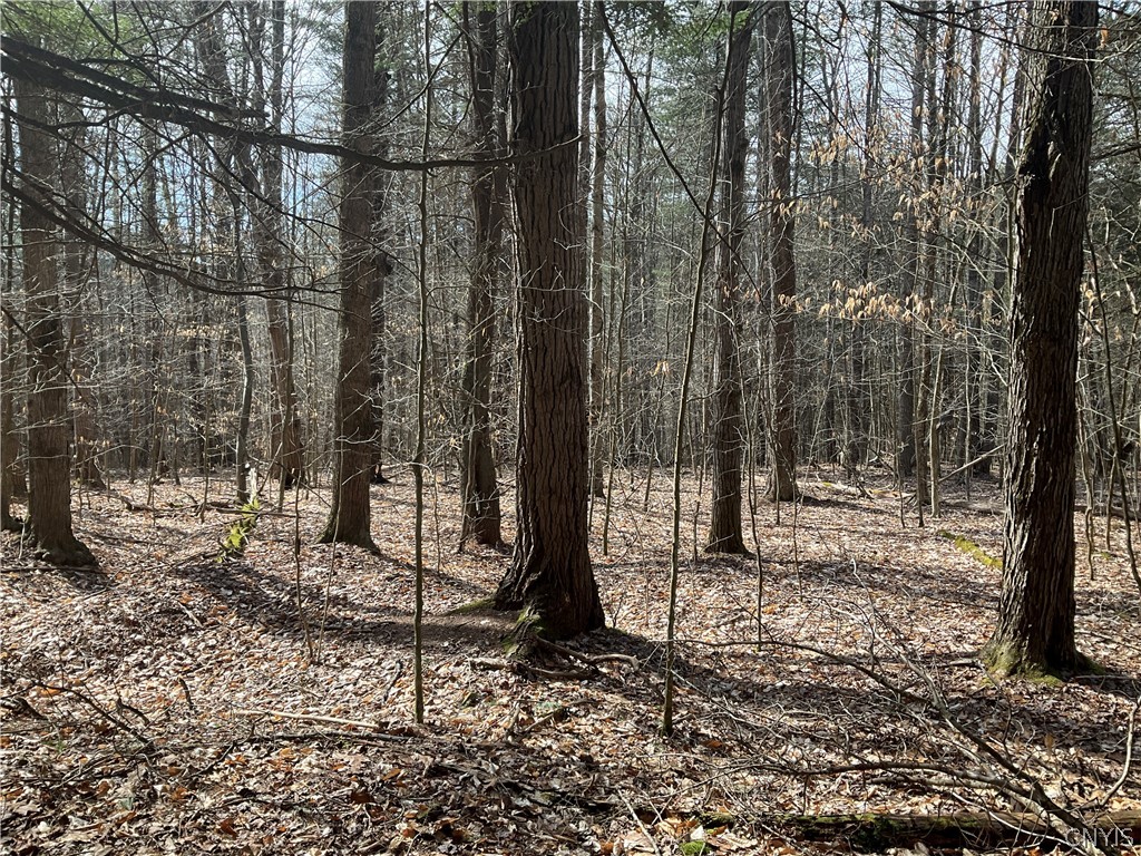 0 Junction Road Bainbridge, NY 13733 - Photo 7 of 16