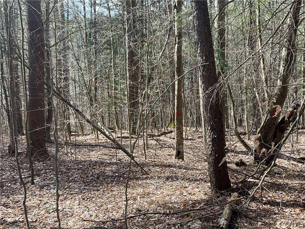 0 Junction Road Bainbridge, NY 13733 - Photo 8 of 16