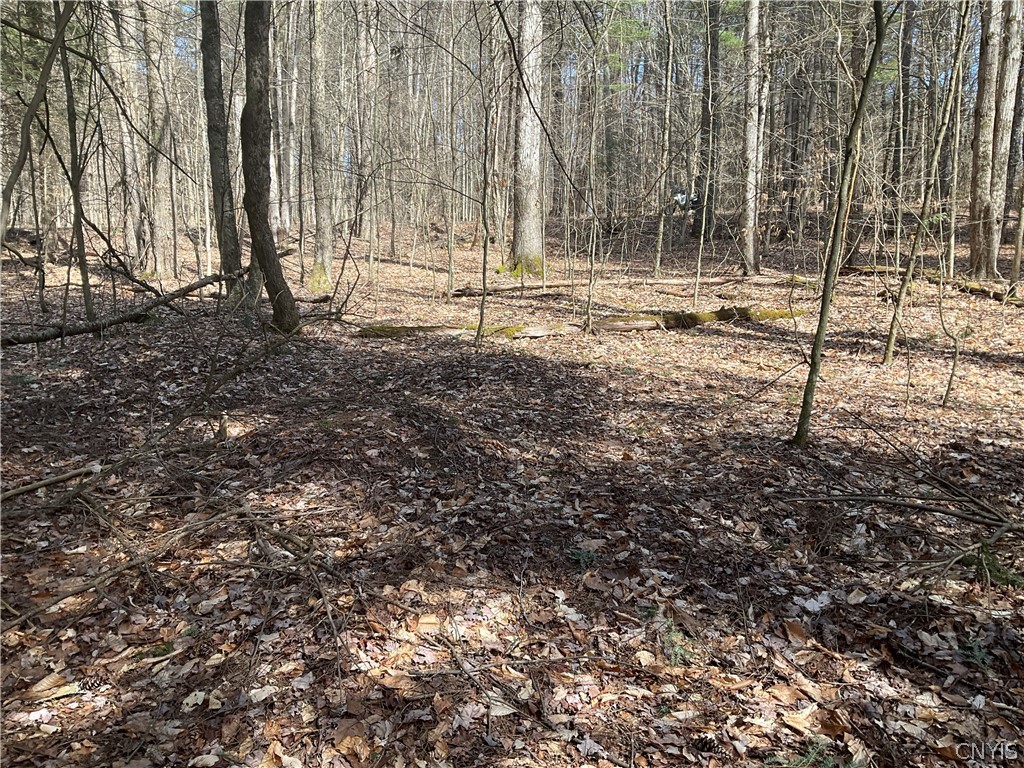 0 Junction Road Bainbridge, NY 13733 - Photo 9 of 16