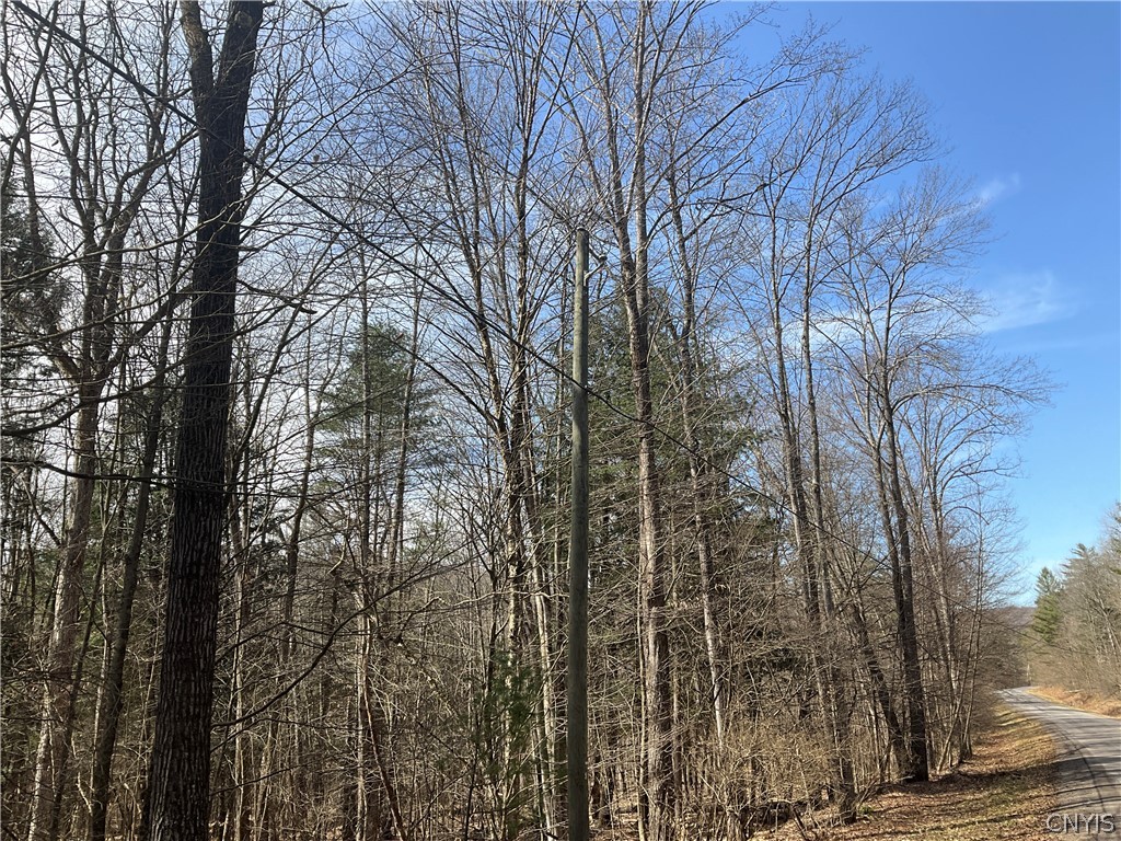 0 Junction Road Bainbridge, NY 13733 - Photo 10 of 16