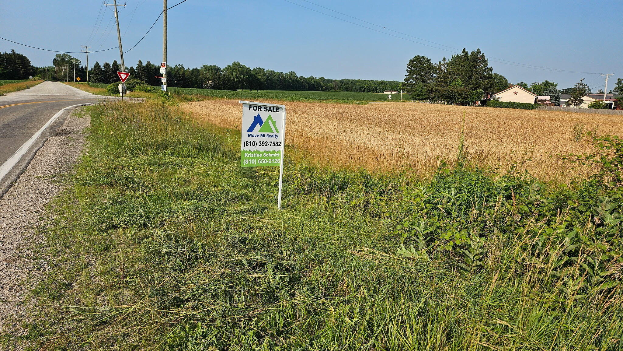 Wales Ridge Road Goodells, MI 48027 - Photo 1 of 6 1000005701 (1)