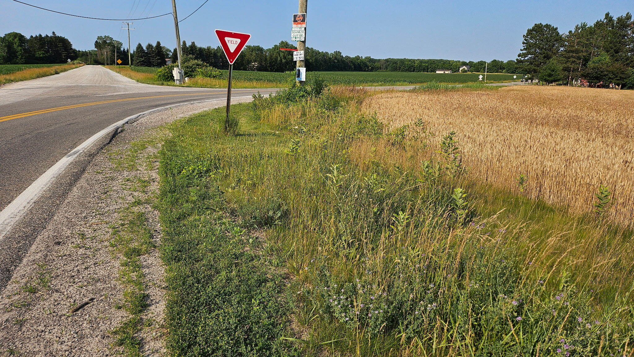 Wales Ridge Road Goodells, MI 48027 - Photo 4 of 6 1000005700 (1)