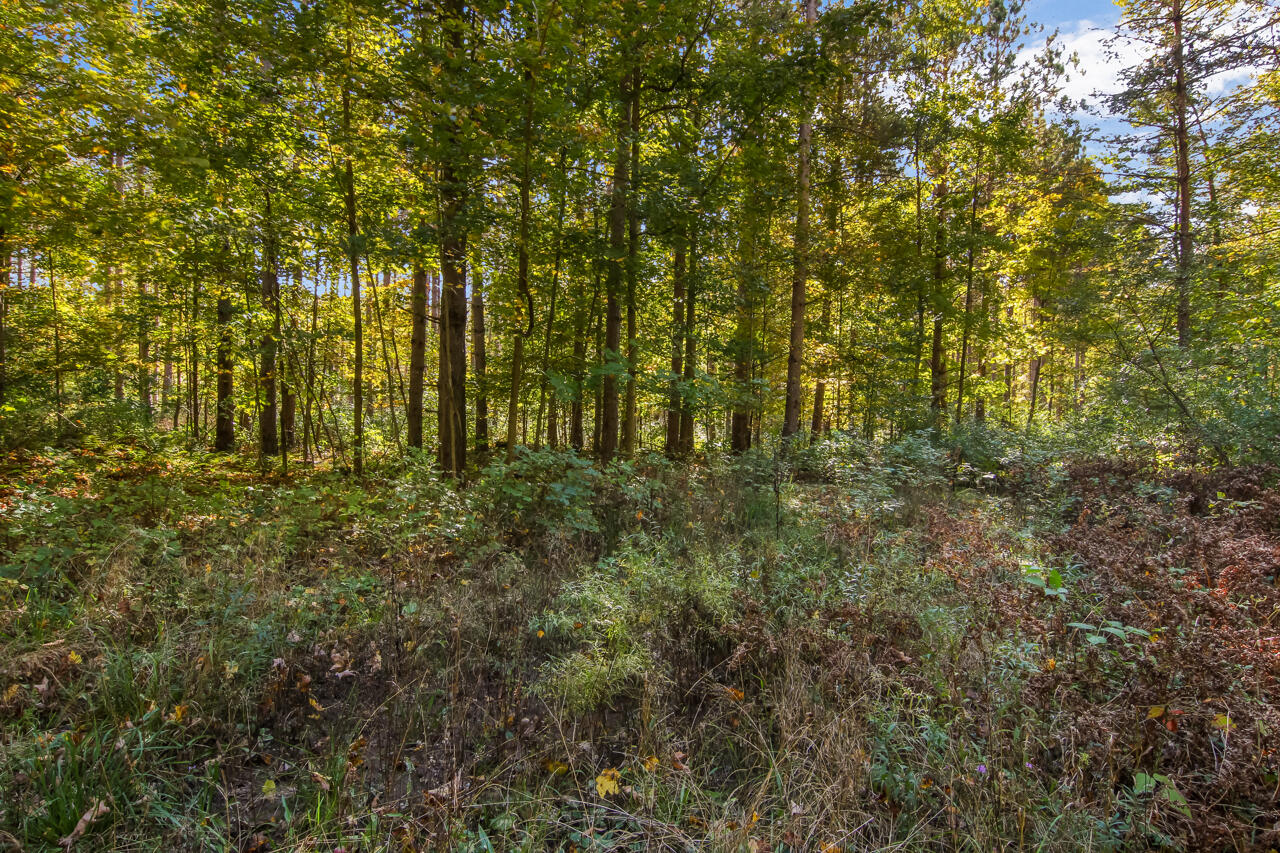 0 Gilbert Road Arcadia, MI 49613 - Photo 29 of 35 5-Scene-5