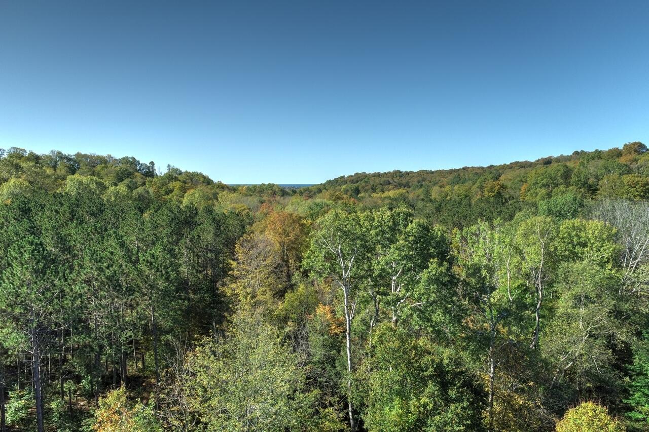 0 Gilbert Road Arcadia, MI 49613 - Photo 3 of 35 10-Aerial-View-10