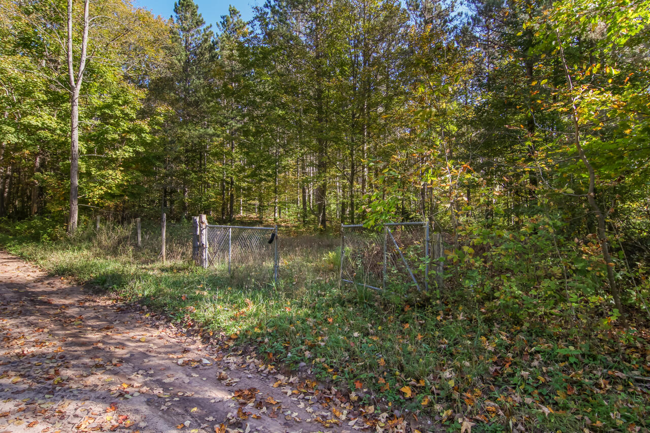 0 Gilbert Road Arcadia, MI 49613 - Photo 7 of 35 3-Scene-3