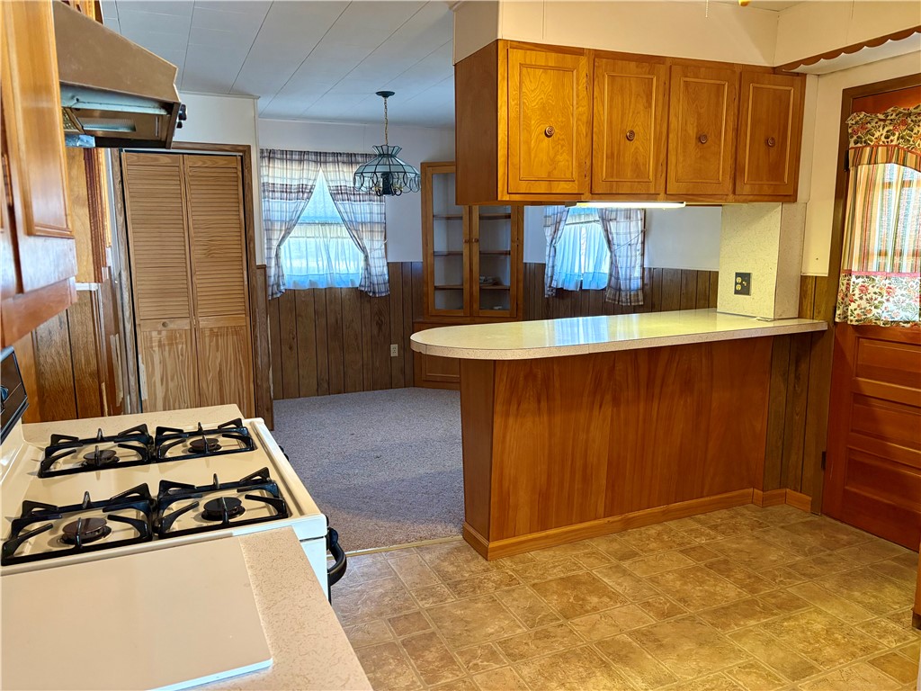 385 Imperial Avenue Erwin, NY 14870 - Photo 14 of 36 Kitchen