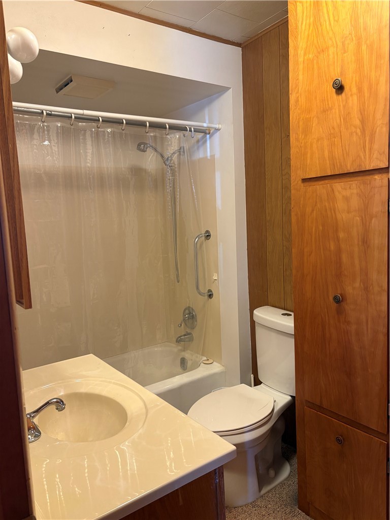 385 Imperial Avenue Erwin, NY 14870 - Photo 26 of 36 Full Bathroom with storage