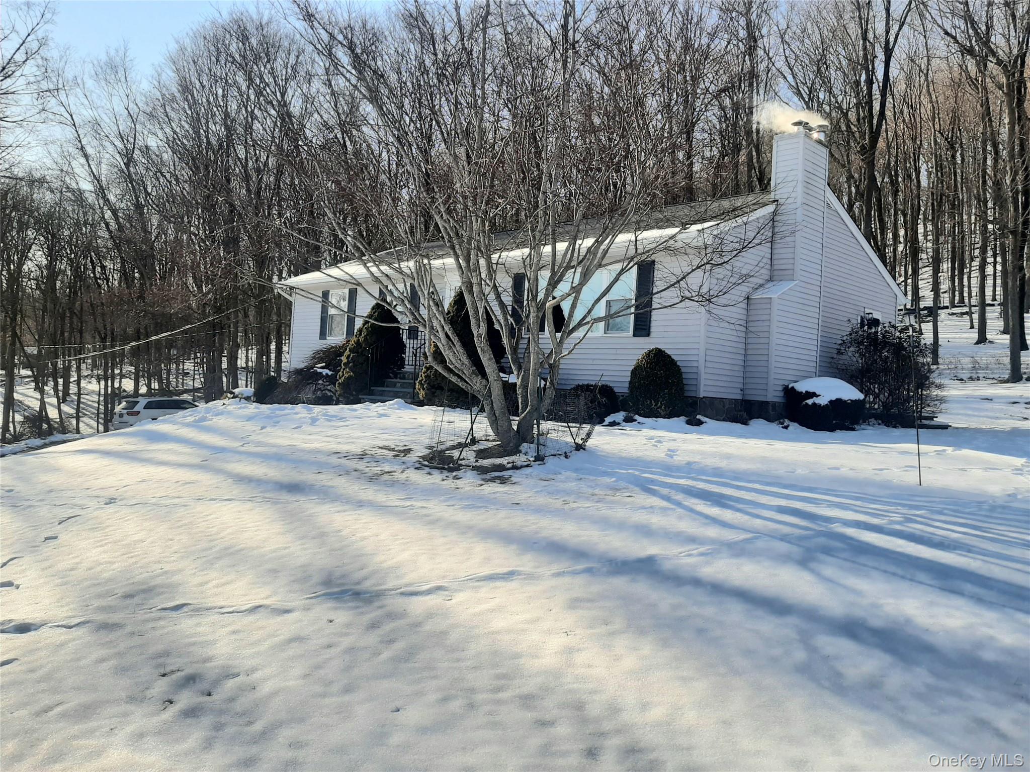 180 Sylvan Lake Road Hopewell Junction, NY 12533 - Photo 4 of 17