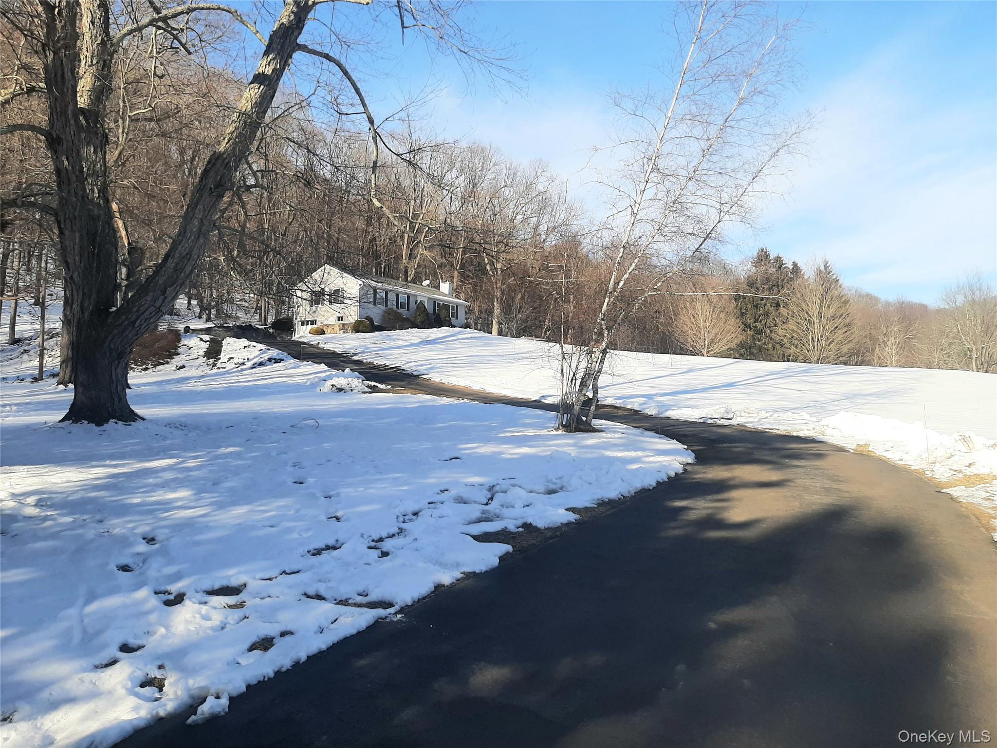 180 Sylvan Lake Road Hopewell Junction, NY 12533 - Photo 5 of 17