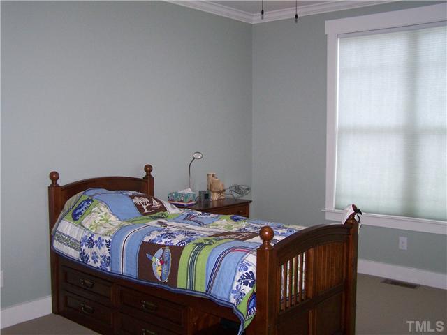 818 Big Dipper Drive Semora, NC 27343 - Photo 6 of 22 Guest bedroom with a view