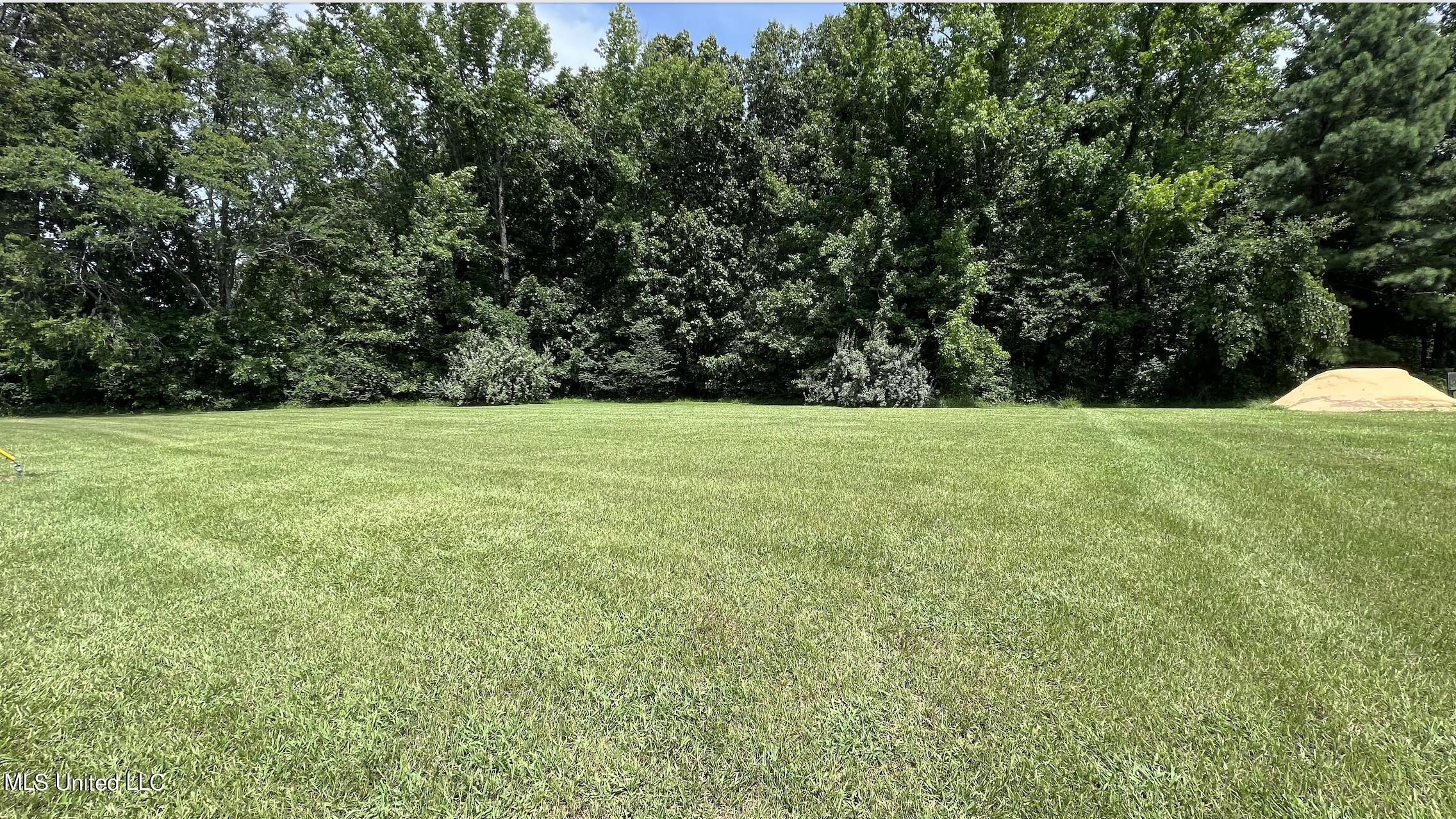 East Holly Springs Road Hernando, MS 38632 - Photo 1 of 3 PRIMARY