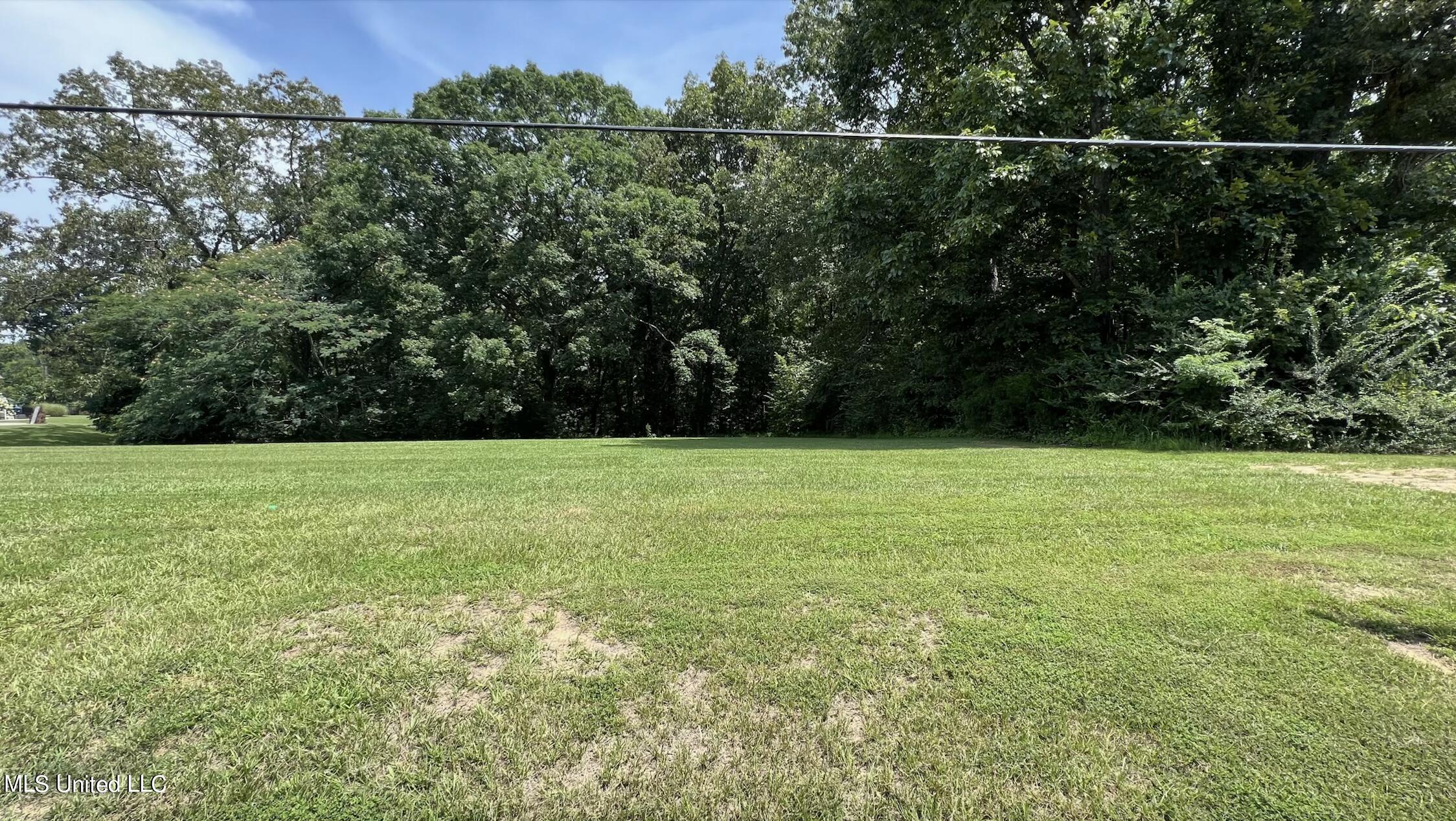 East Holly Springs Road Hernando, MS 38632 - Photo 3 of 3 LAND