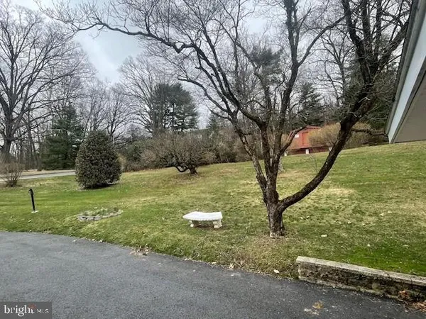 a view of a yard with large trees