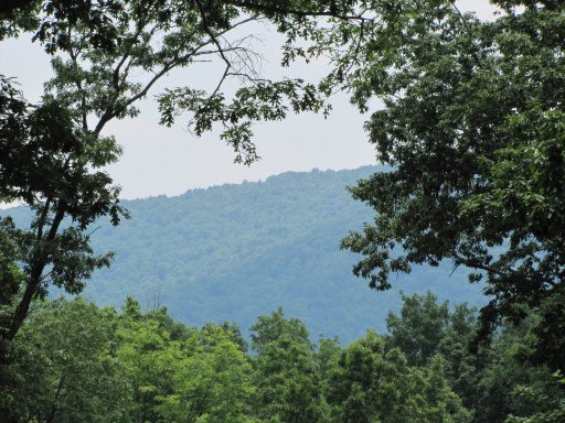 5660 Campground Road Sunbright, TN 37872 - Photo 6 of 11 Additional Photo