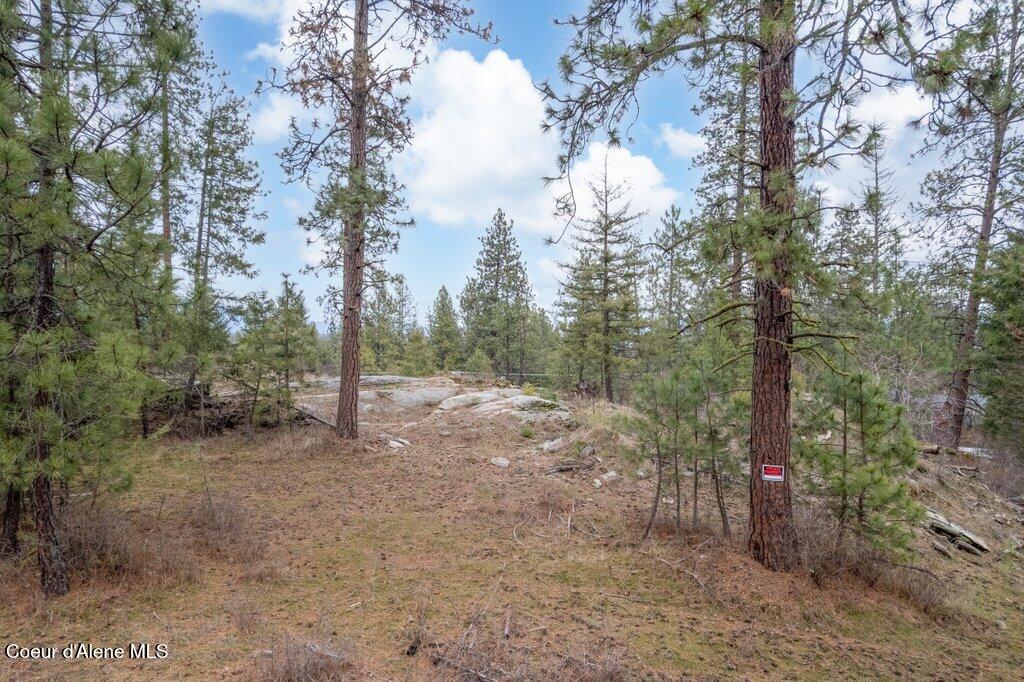 Nna South Schilling Loop Post Falls, ID 83854 - Photo 6 of 14 011-NKASouthSchillingLoop-PostFalls-ID-8