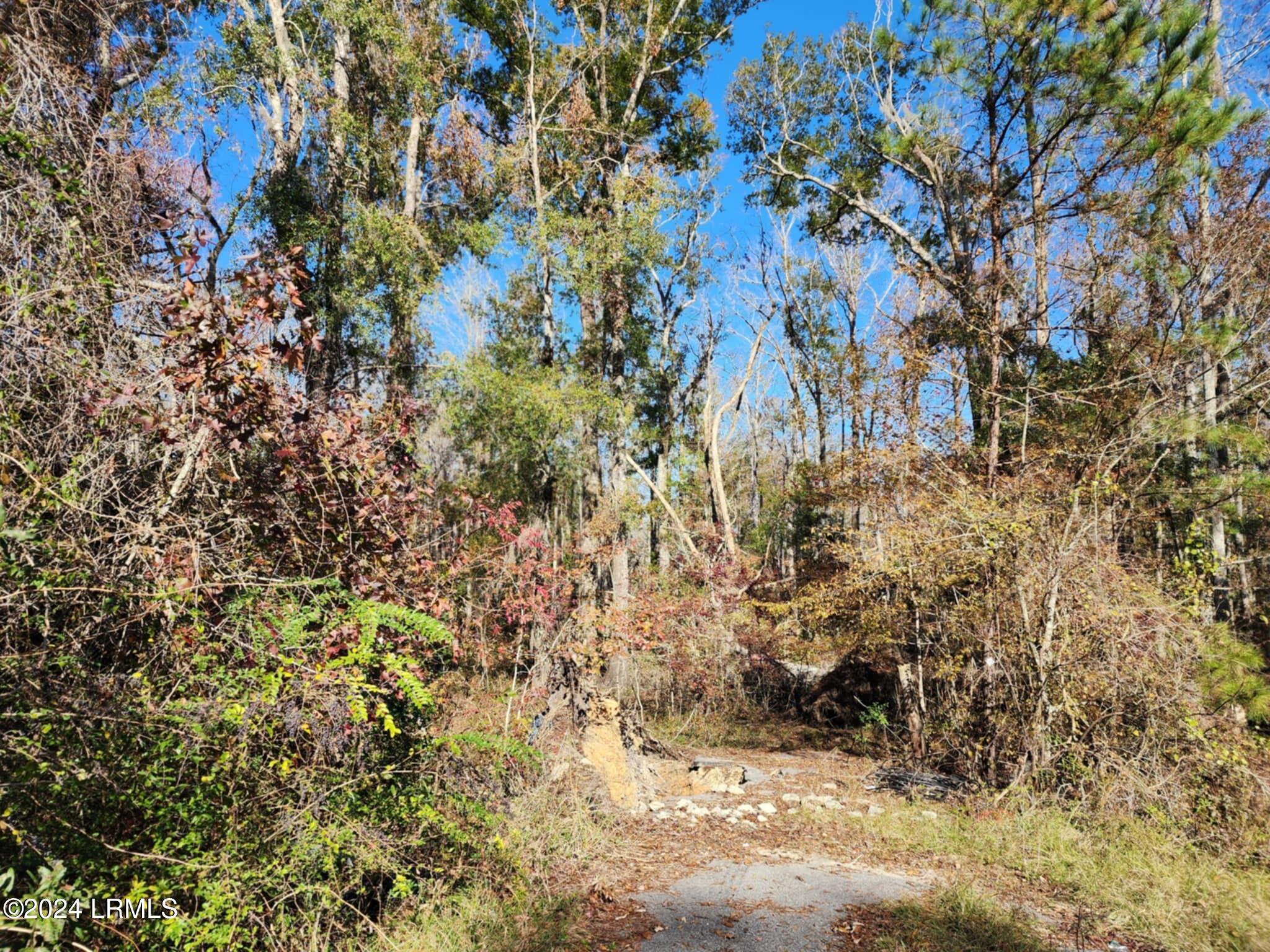 16882 Pocotaligo Road Varnville, SC 29944 - Photo 21 of 26 f241785d-7ec4-4101-bf34-d75459cded94