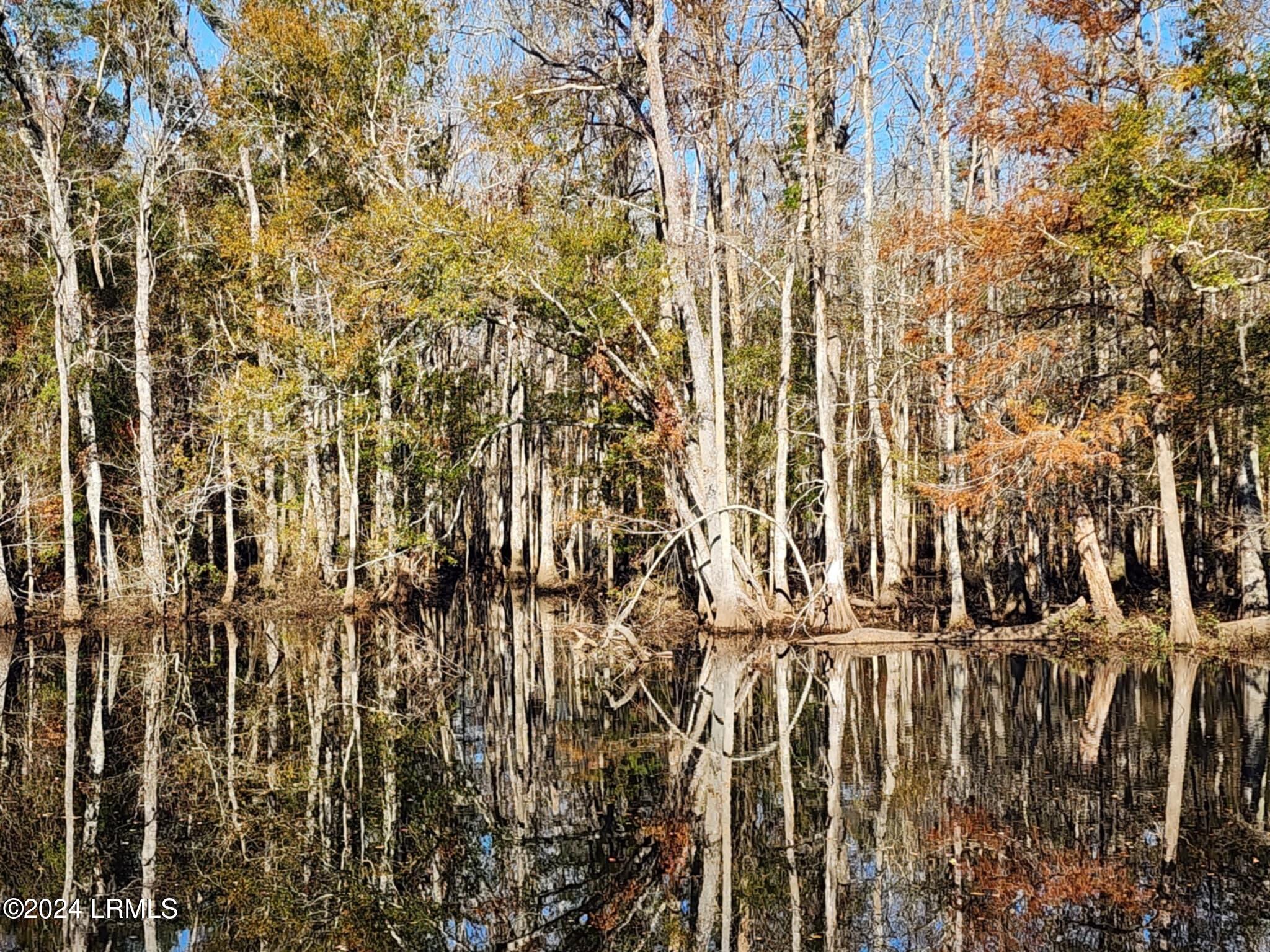 16882 Pocotaligo Road Varnville, SC 29944 - Photo 26 of 26 6aa366da-0e80-4af0-ba5b-102d990e8d18