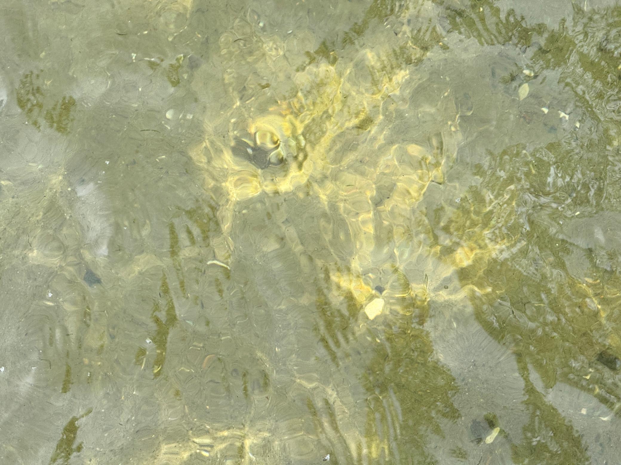 37106 Hackberry Point Road Richville, MN 56576 - Photo 51 of 59