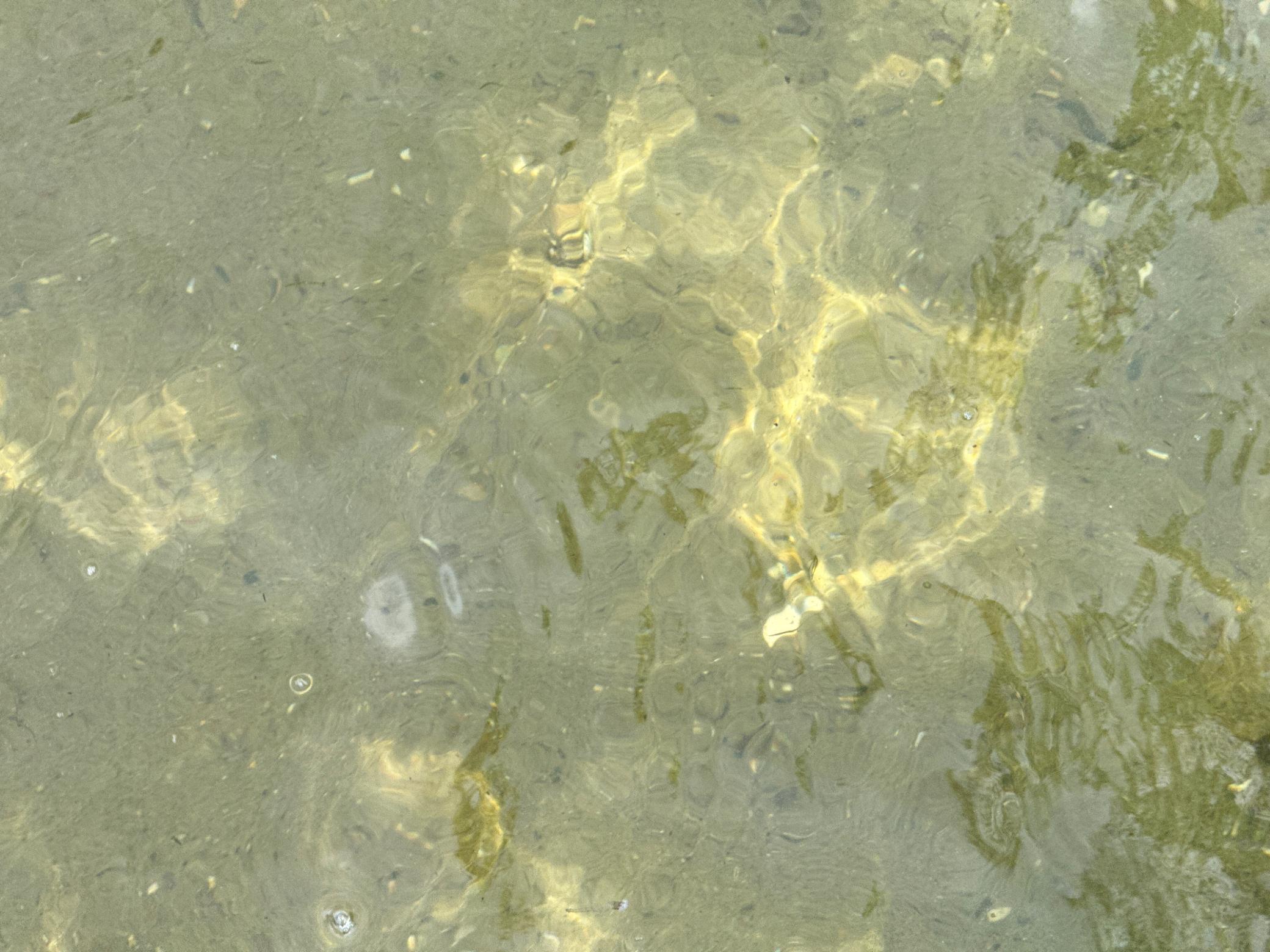 37106 Hackberry Point Road Richville, MN 56576 - Photo 52 of 59