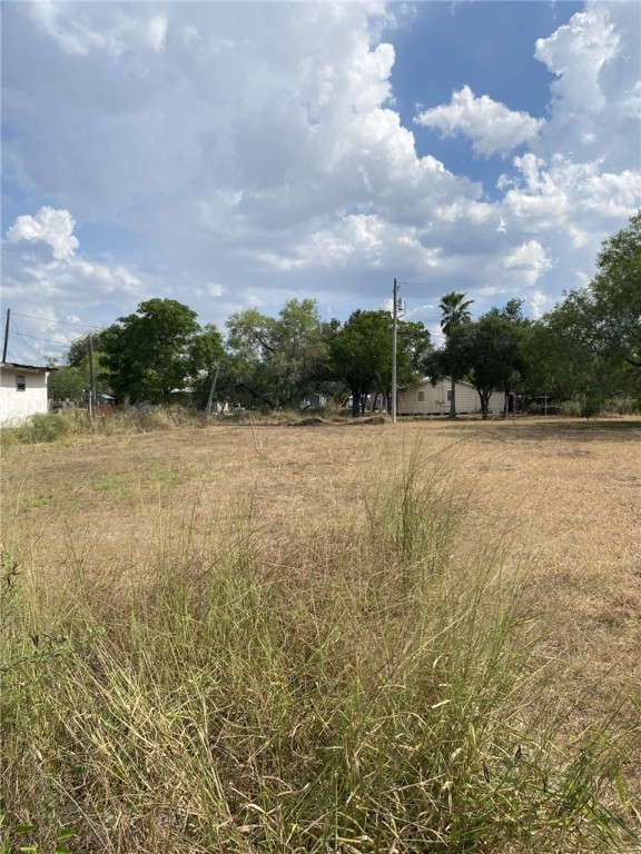 419 Northeast 5th Street Premont, TX 78375 - Photo 2 of 4 a view of an outdoor space and a yard