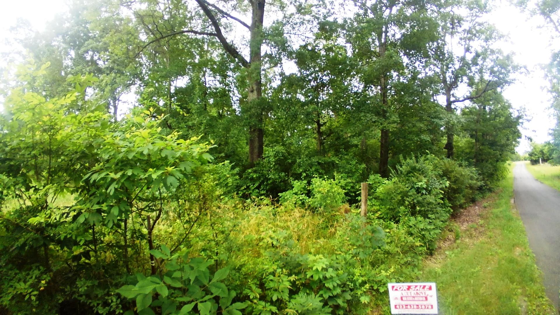 Lot 19 Smelcer Road, Unit 19 Mohawk, TN 37810 - Photo 3 of 4 New Smelcer Rd 7a
