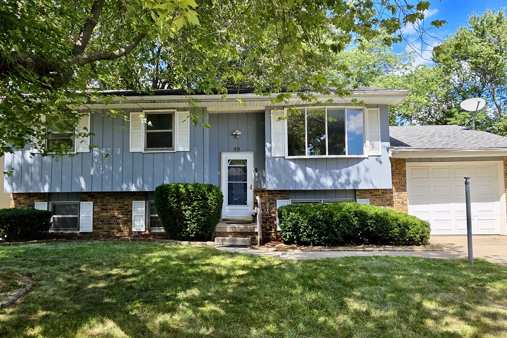 a view of a house with a yard and a large tree
