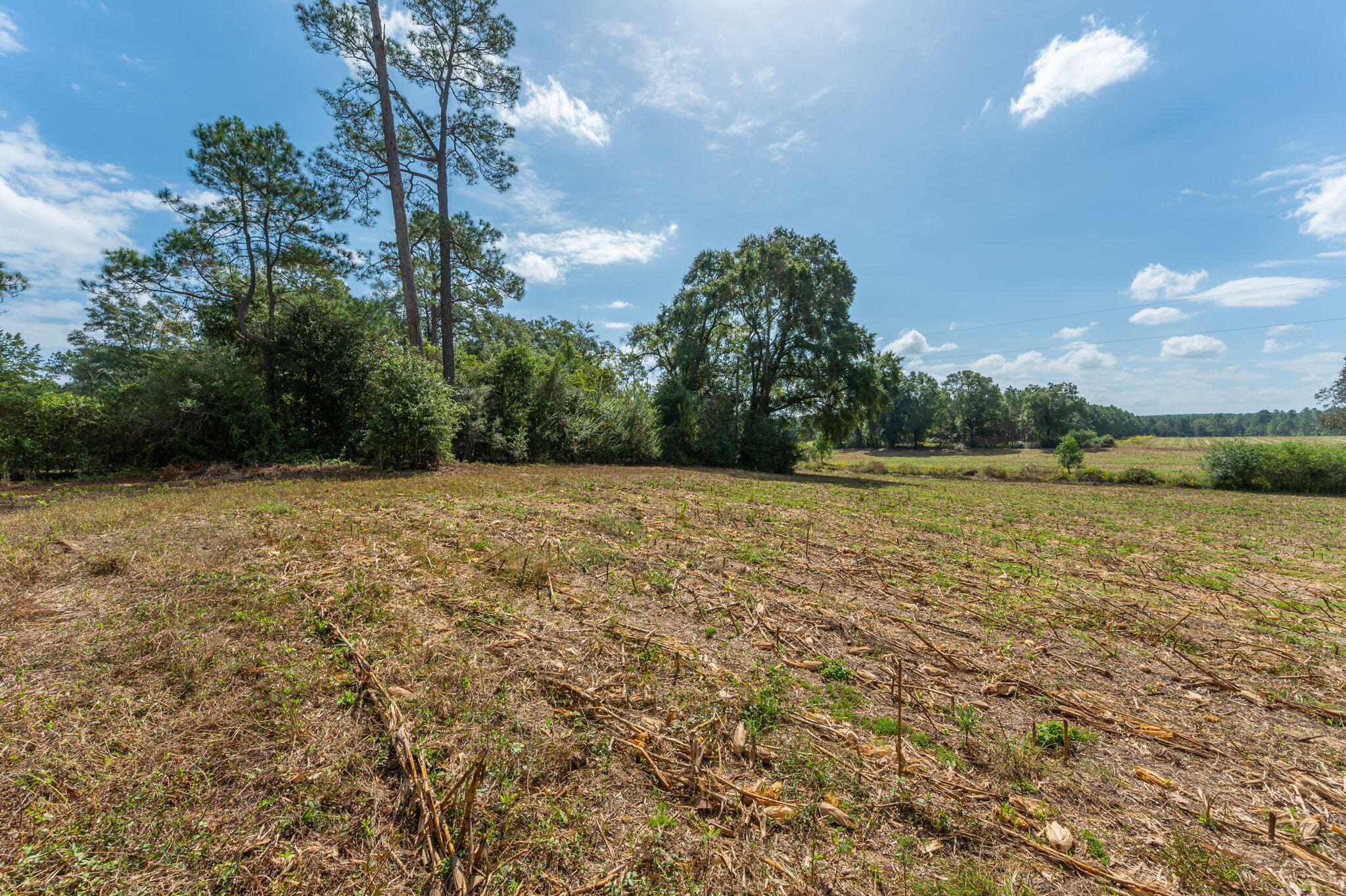 3-acre -a Prescott Road Florala, AL 36442 - Photo 13 of 36 a view of a lake view