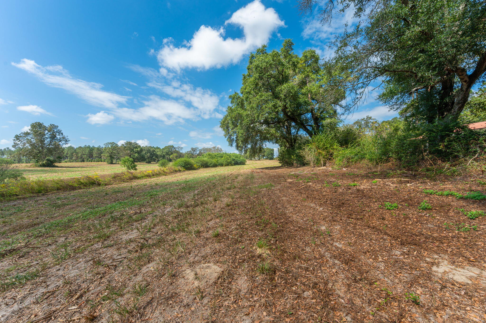 3-acre -a Prescott Road Florala, AL 36442 - Photo 17 of 36 a view of a field with trees