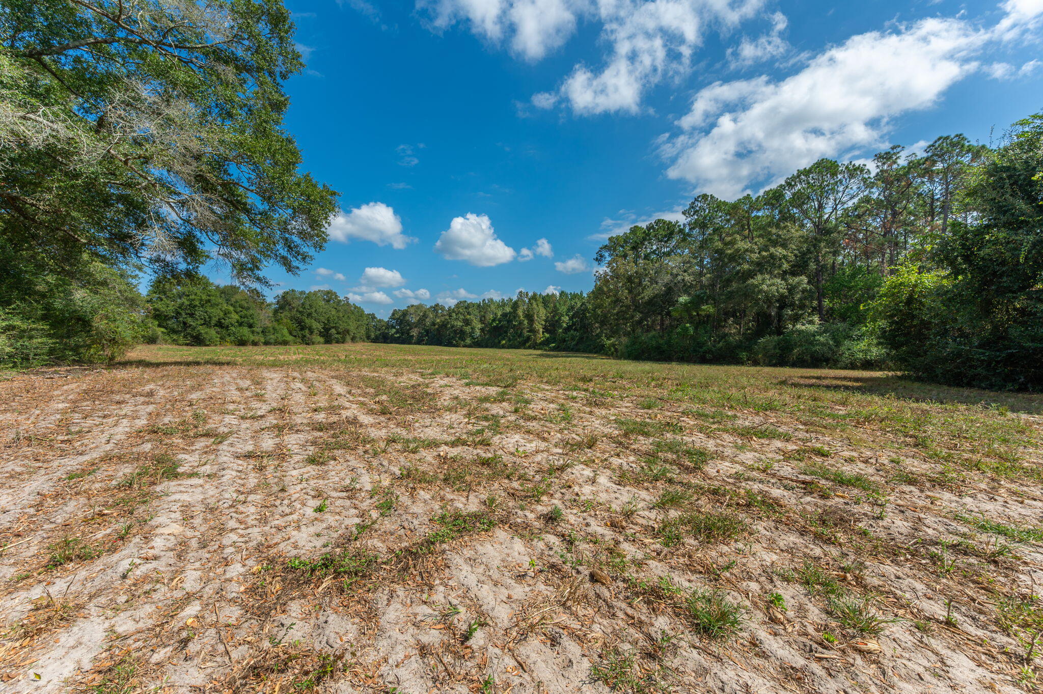 3-acre -a Prescott Road Florala, AL 36442 - Photo 19 of 36 a view of a lake view