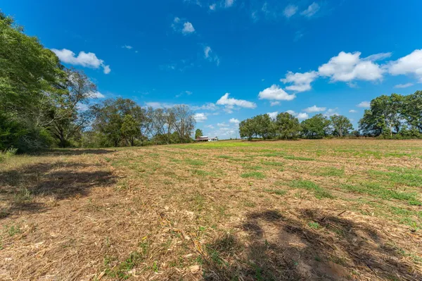 a view of a field with an ocean