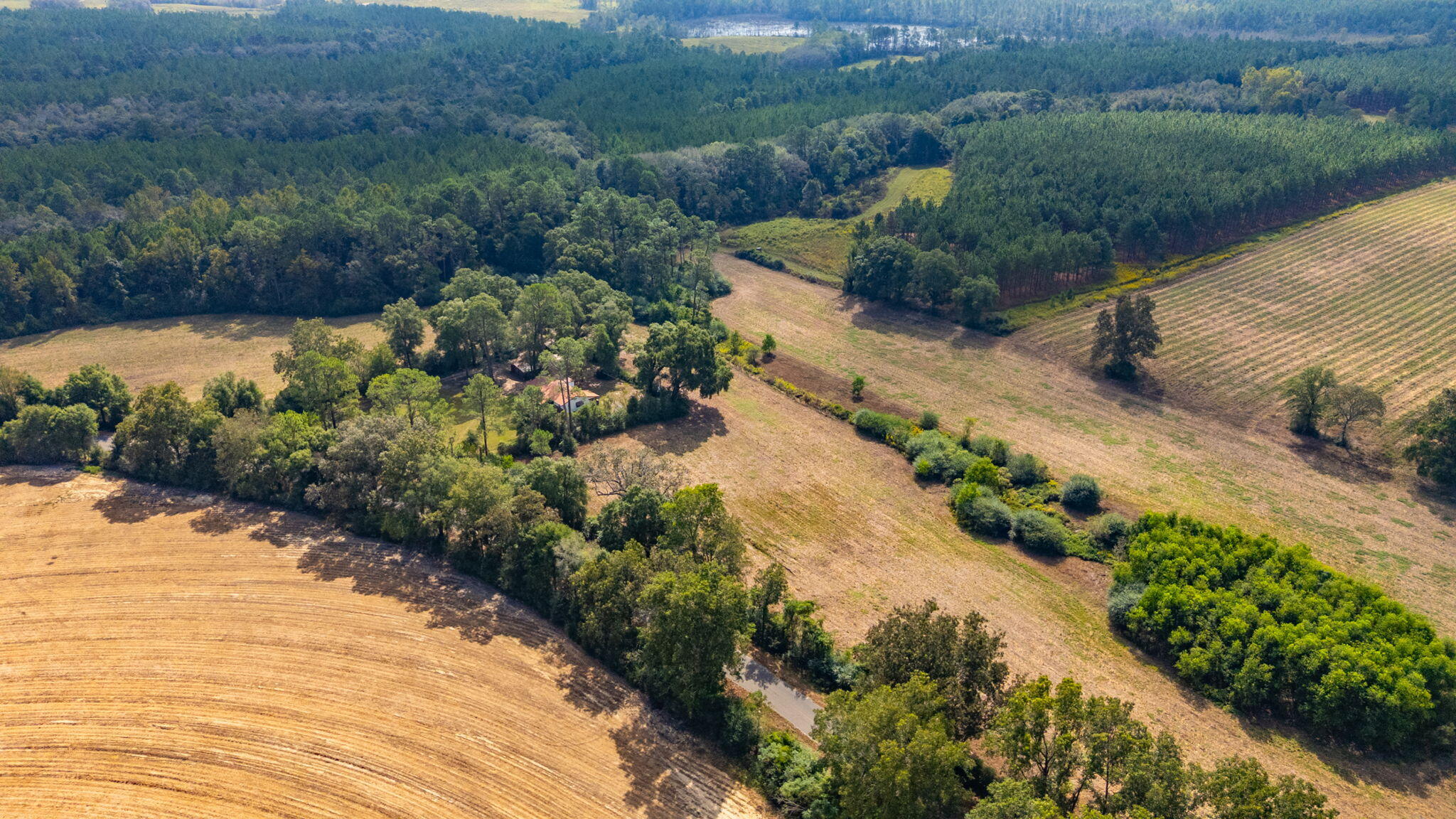 3-acre -a Prescott Road Florala, AL 36442 - Photo 5 of 36 a view of a street with a yard