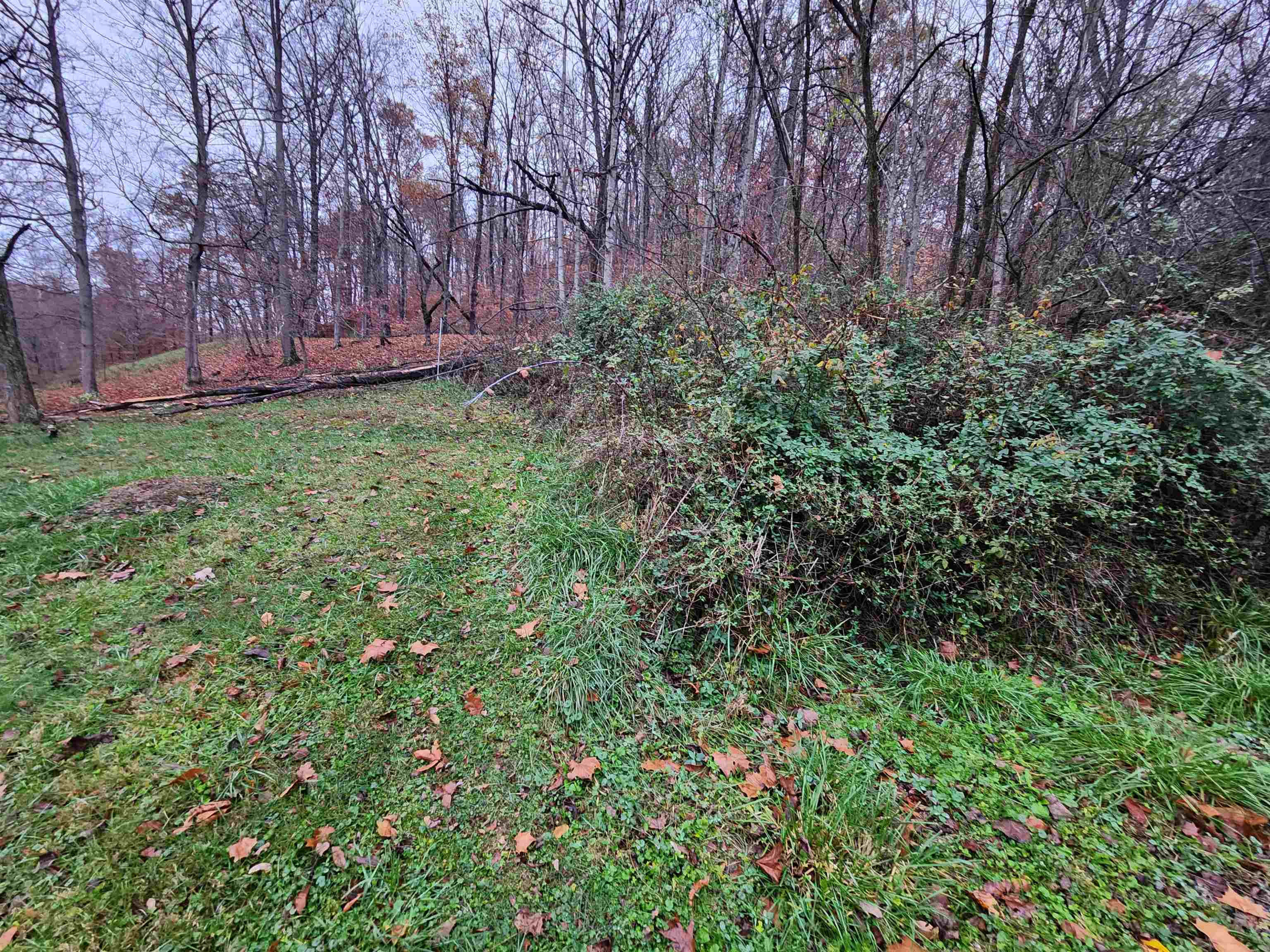 10036 Huff Hollow Road Catlettsburg, KY 41129 - Photo 36 of 37 Gallery Image 36