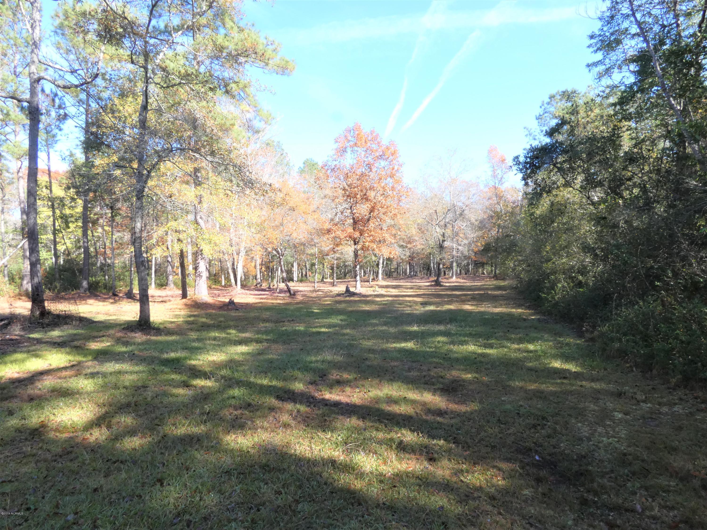 3632 Blue Banks Loop Road Northeast Leland, NC 28451 - Photo 13 of 15 P1000347