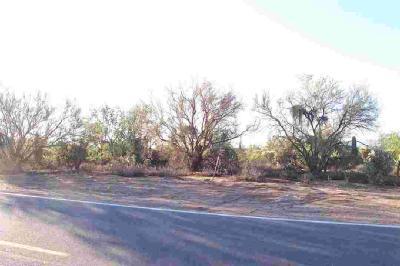 5251 West Oasis Road Tucson, AZ 85742 - Photo 3 of 6