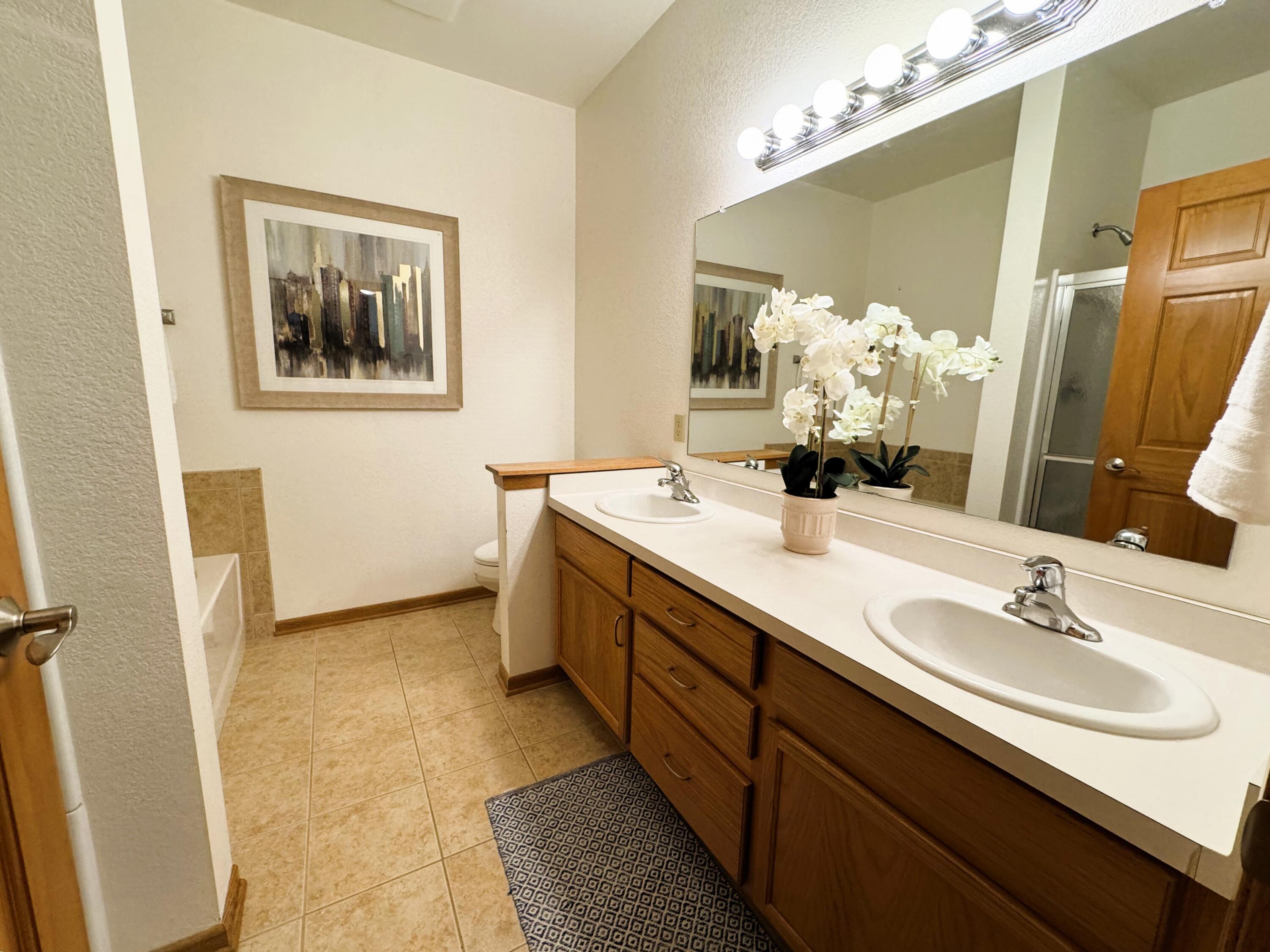 1812 East Lafayette Place, Unit 405 Milwaukee, WI 53202 - Photo 14 of 30 Walk in Shower AND Soaking Tub!