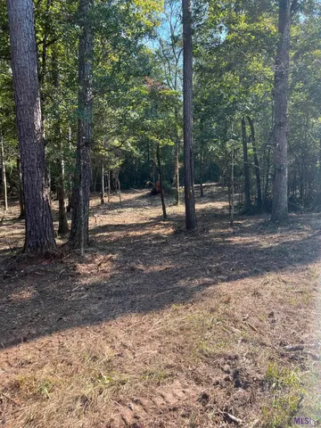 $199,999 | 10 Clinton La, Clinton, LA 70722