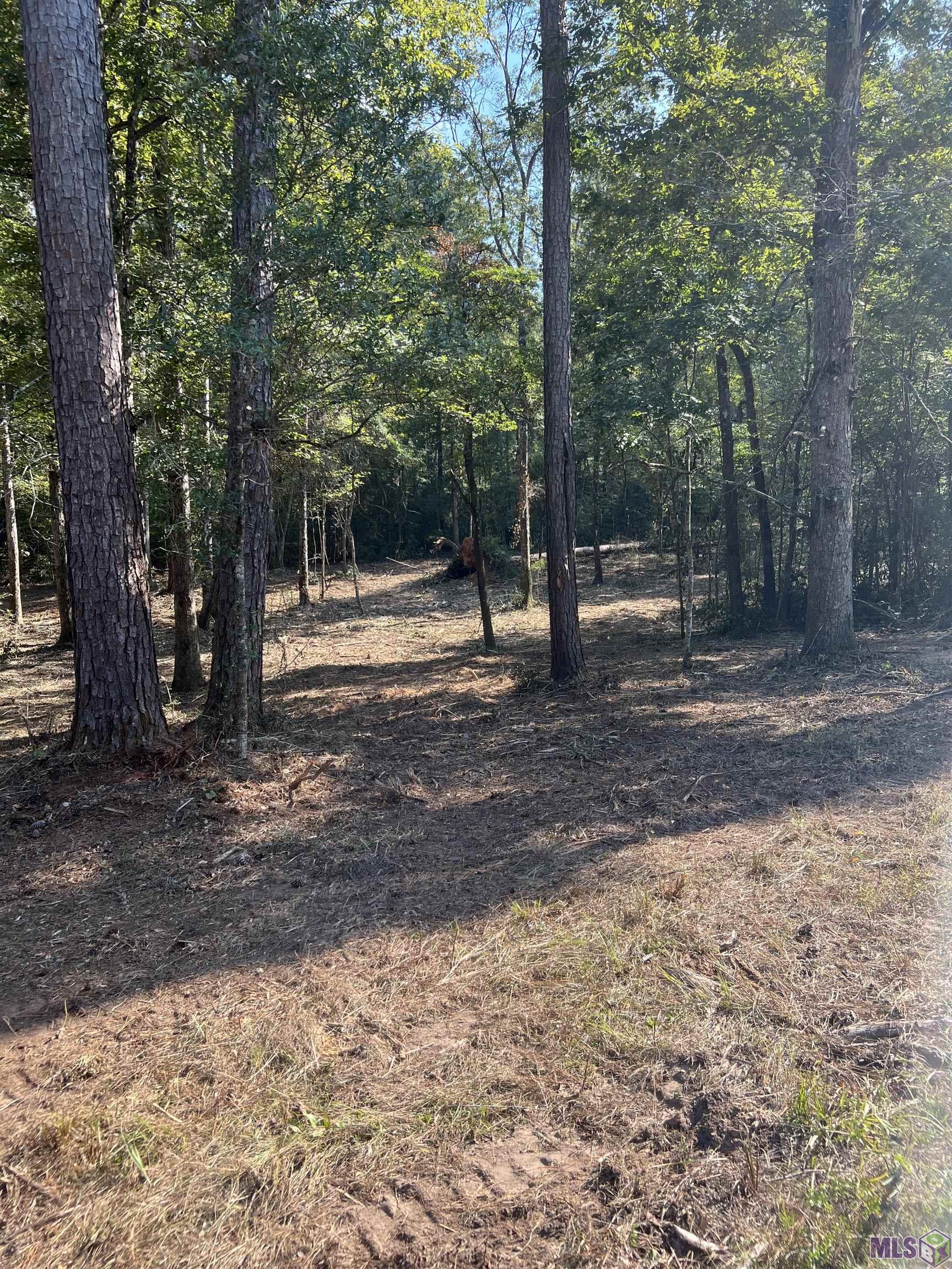 10 Clinton La Clinton, LA 70722 - Photo 2 of 6