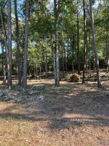 $199,999 | 10 Clinton La, Clinton, LA 70722