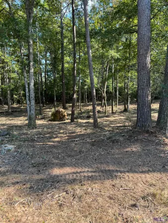 $199,999 | 10 Clinton La, Clinton, LA 70722