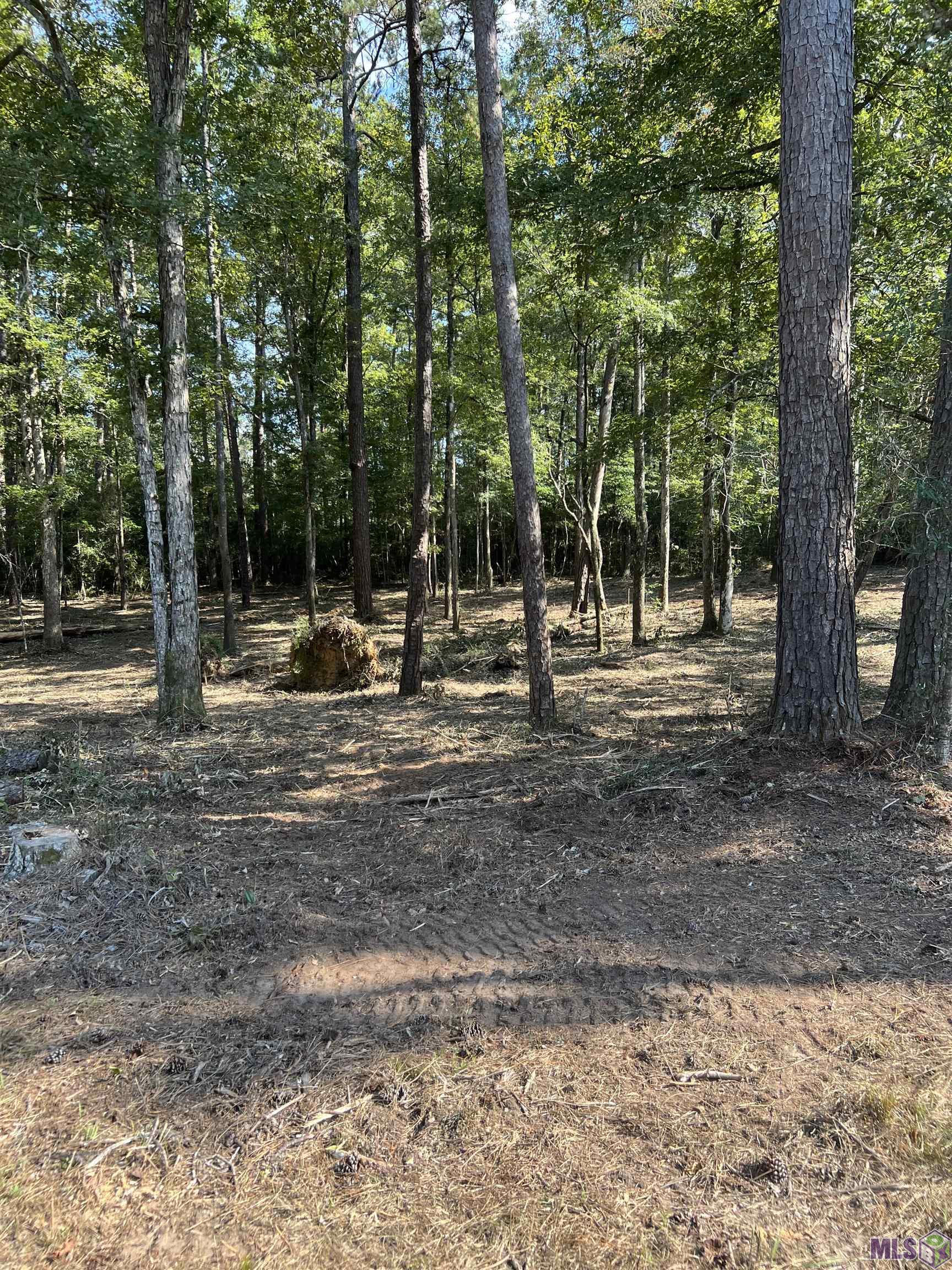 10 Clinton La Clinton, LA 70722 - Photo 5 of 6