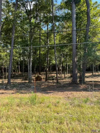 $199,999 | 10 Clinton La, Clinton, LA 70722