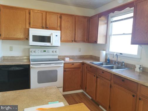 303 Raven Road Stephens City, VA 22655 - Photo 9 of 22