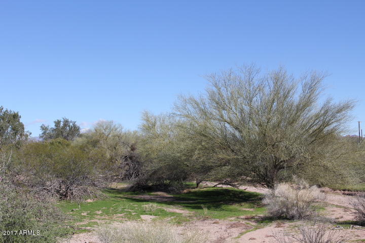 0 East Starr Road Apache Junction, AZ 85119 - Photo 3 of 17 2017-01-26 13.10.44