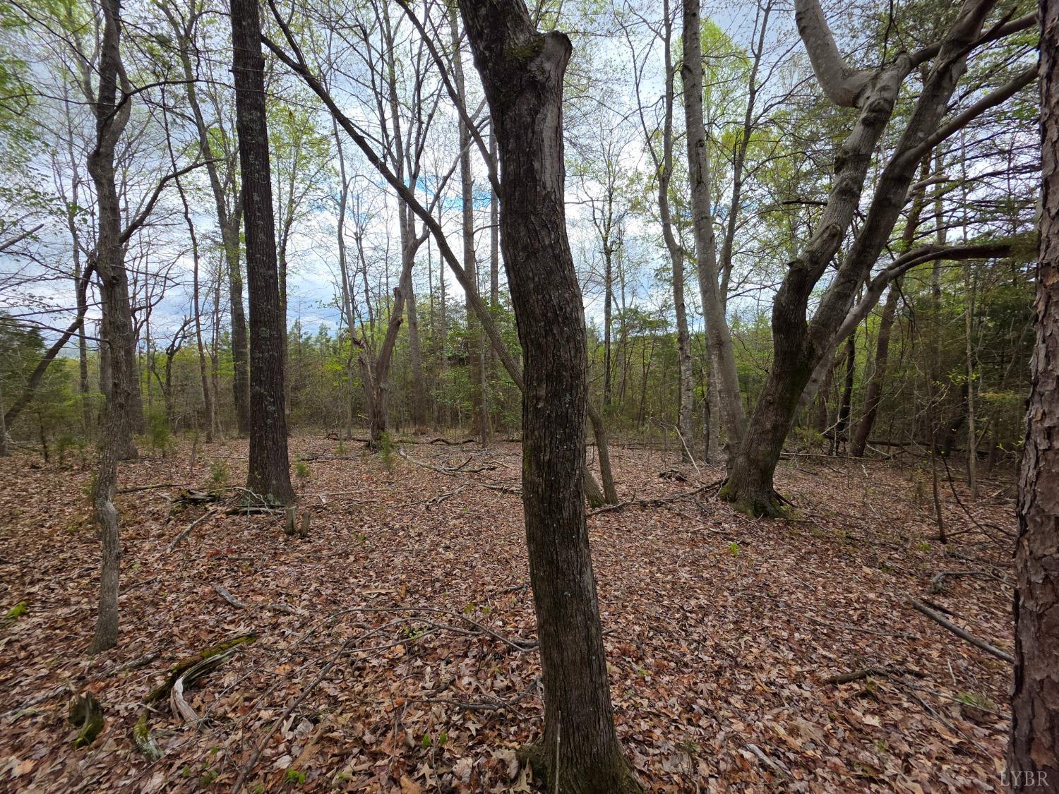 0 Spring Grove Road Spout Spring, VA 24593 - Photo 4 of 12