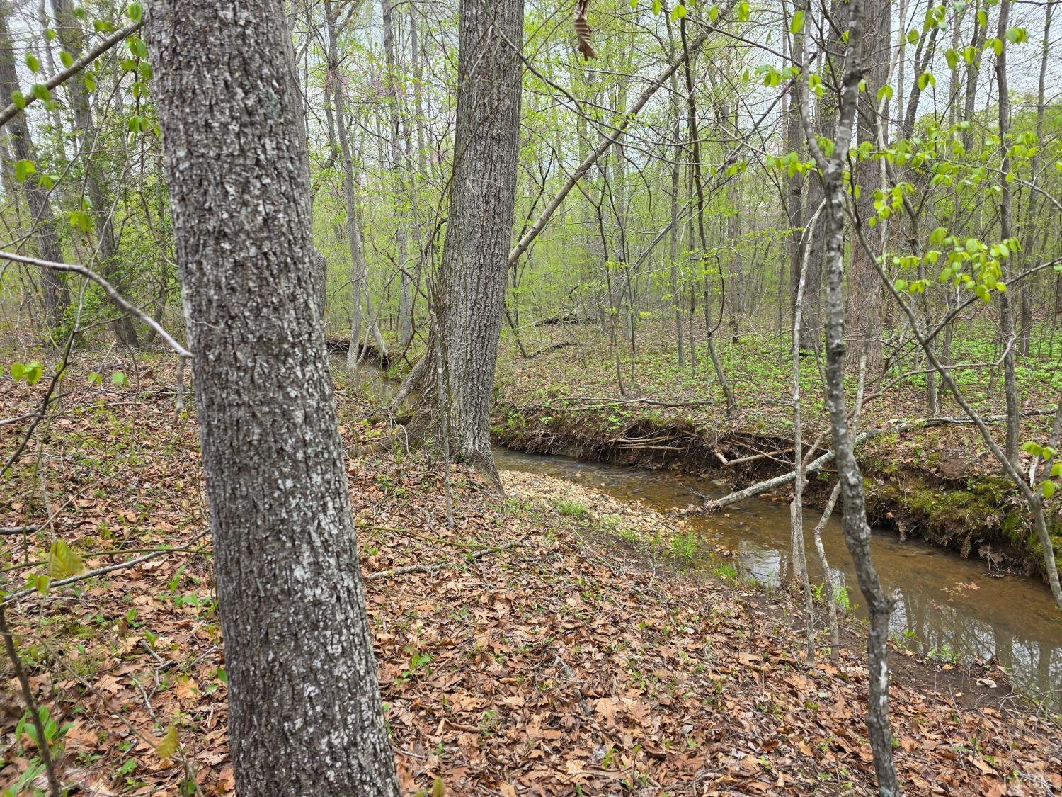 0 Spring Grove Road Spout Spring, VA 24593 - Photo 8 of 12