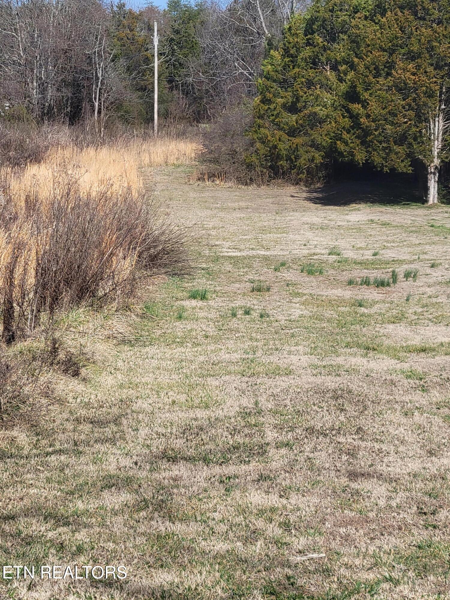 1711 Haire Road Dandridge, TN 37725 - Photo 6 of 28 20260220_102951