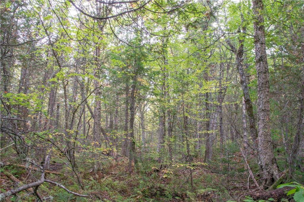 11 NORTH Rd Mount Mount Chase, ME 04765 - Photo 10 of 24 Land